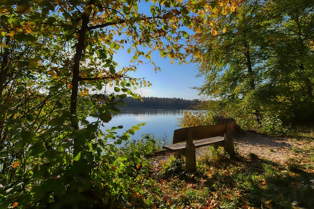 联盟球队 联盟球队