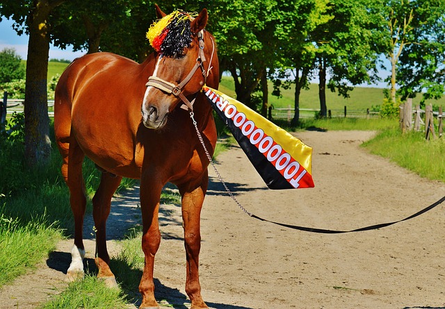 更是为未来 更是为未来