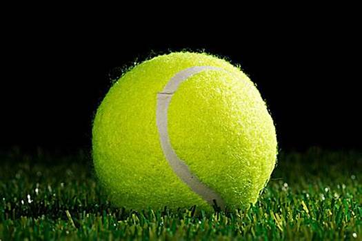 瓜帅视角下 瓜帅视角下