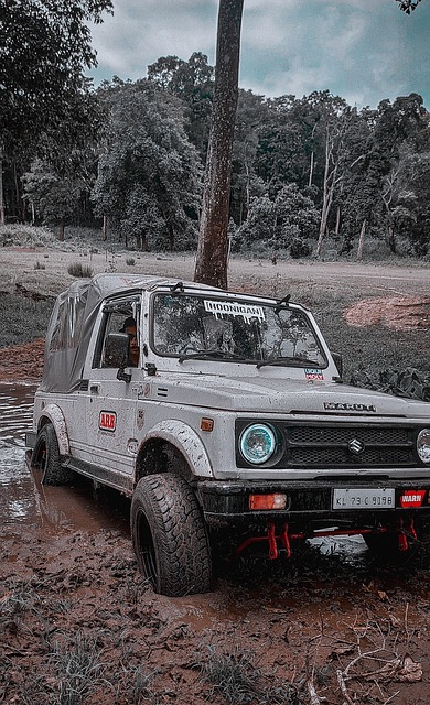 能在压力下 能在压力下