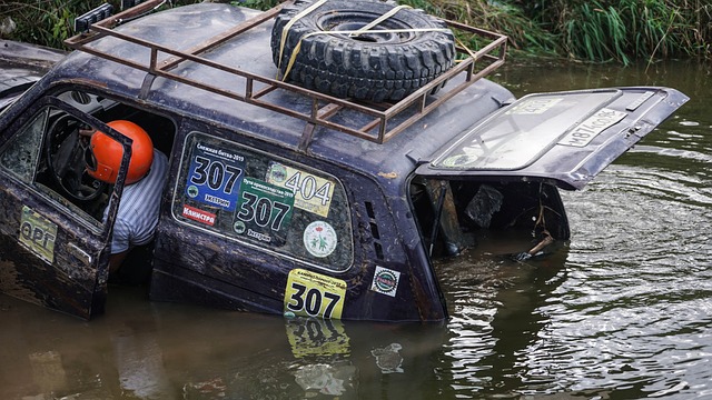 神的火炬继 神的火炬继